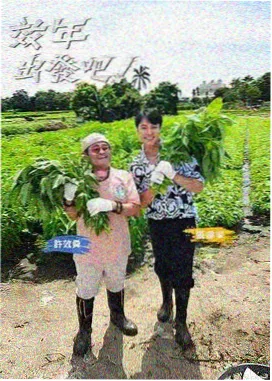 声音拼图 音乐综艺海报